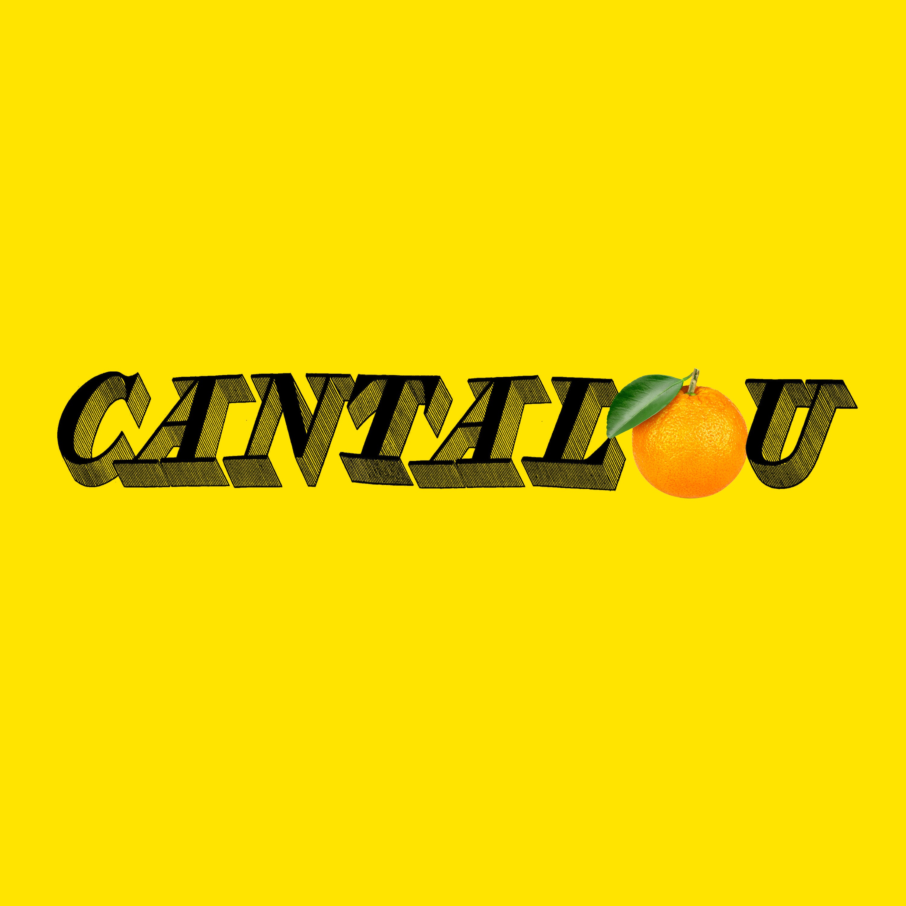 Album Thierry Larose - Cantalou - LP – Bravo Musique