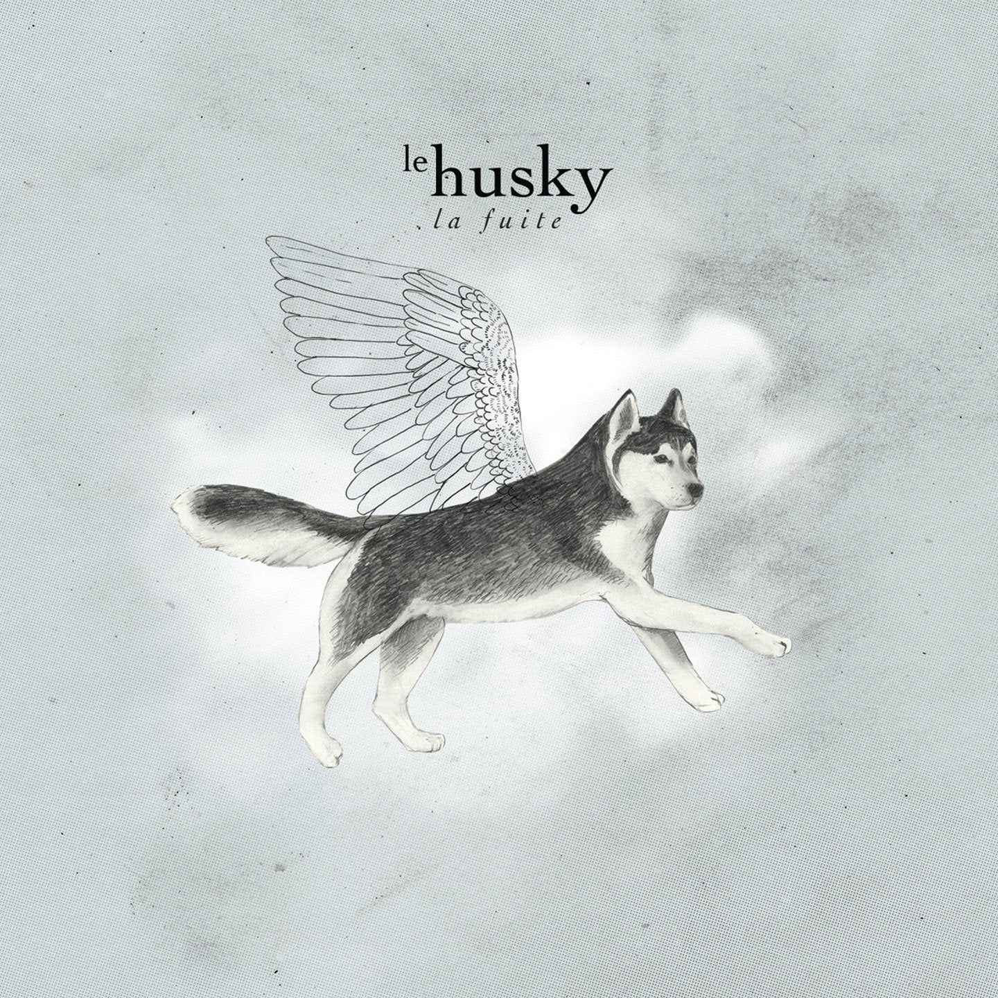 Album numérique La fuite - Le husky