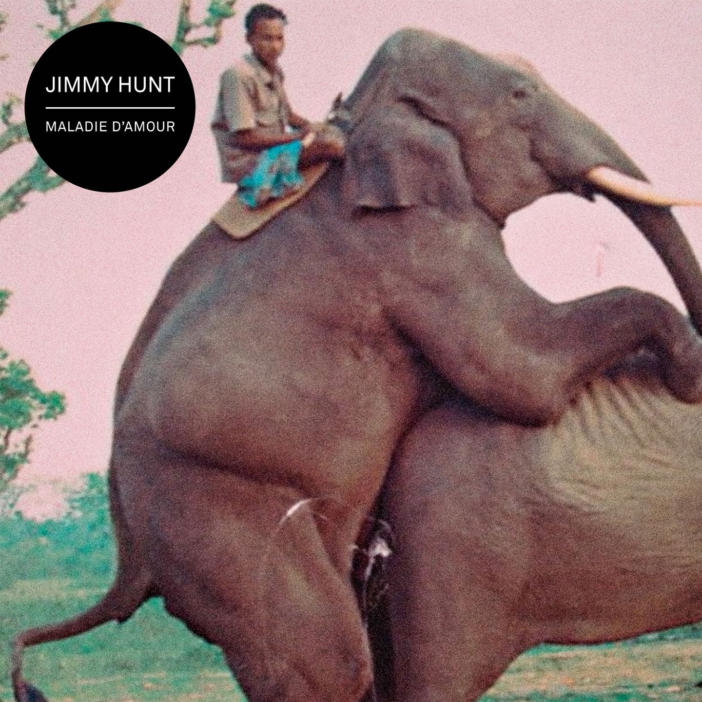 Album numérique Maladie d'amour - Jimmy Hunt